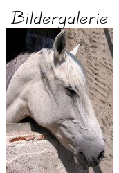 Bildergalerie